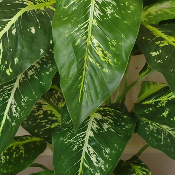 100cm Large Foxs Aglaonema (Spotted Evergreen) Tree Artificial Plant with Silver Metal Planter