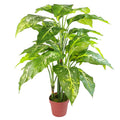 100cm Large Foxs Aglaonema (Spotted Evergreen) Tree Artificial Plant