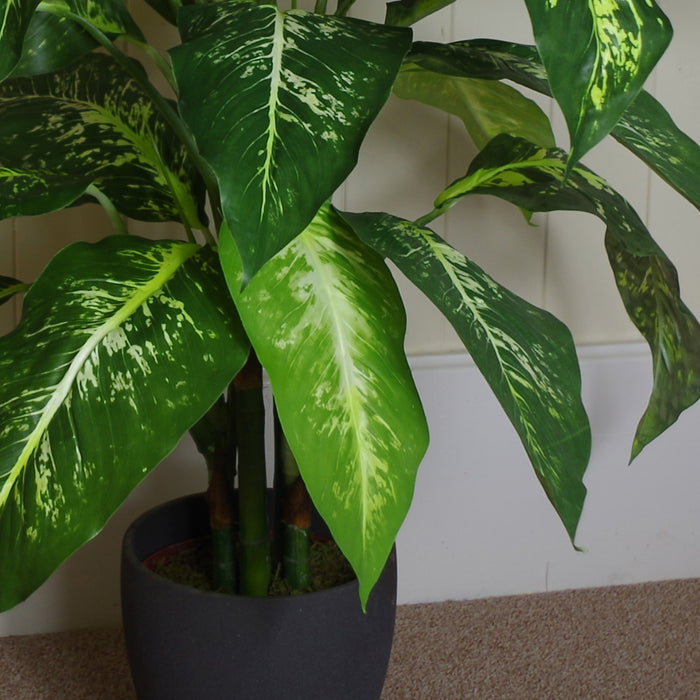 100cm Large Foxs Aglaonema (Spotted Evergreen) Tree Artificial Plant