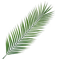 100cm Realistic Artificial Palm Leaf