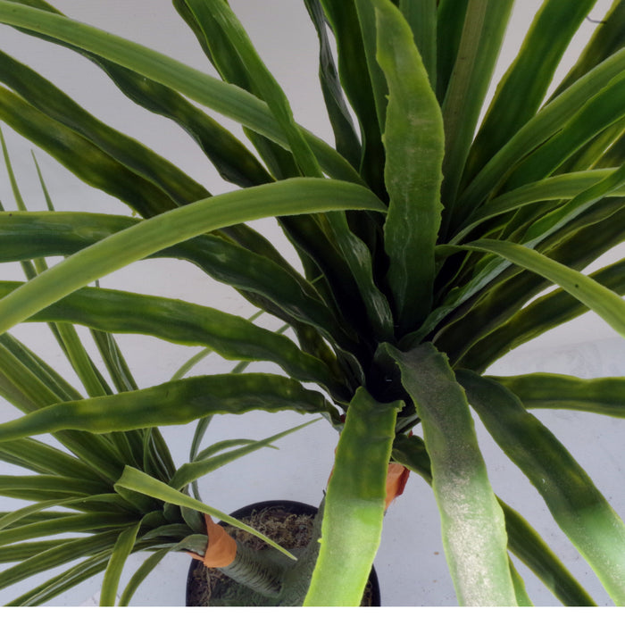 110cm Artificial Dracaena Nolina Recurvata Palm Tree