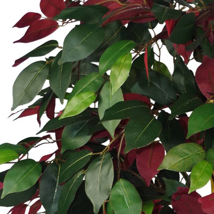 120cm (4ft) Artificial Capensia Tree Ficus Plant - Extra Large