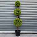 120cm Green Triple Ball Topiary Tree