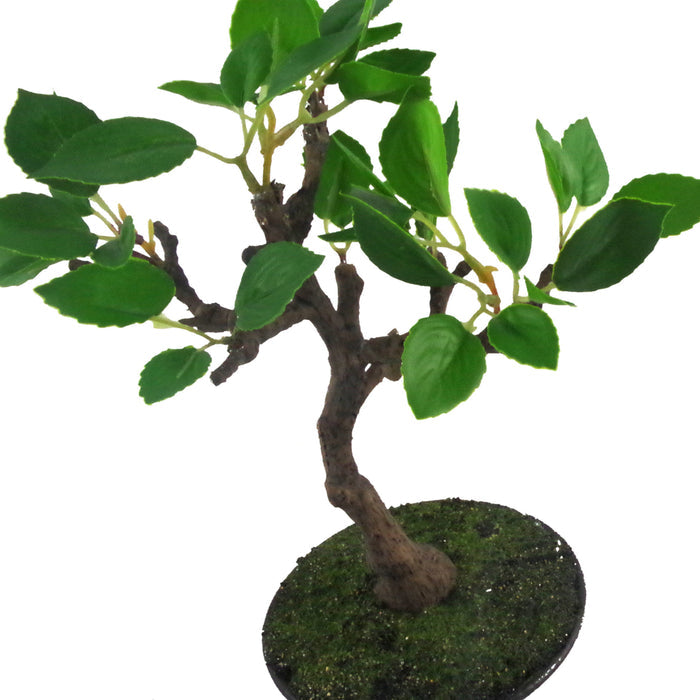 25cm Mini Ficus Bonsai in Ceramic Planter