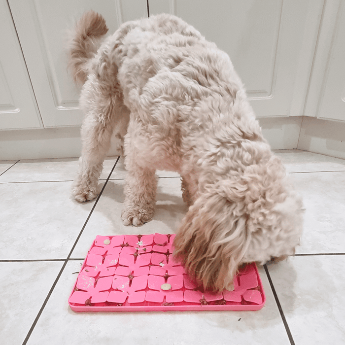 3D Clover Rectangle Slow Feeder - Slow Feeding Bowls from Sale at DoggyTopia