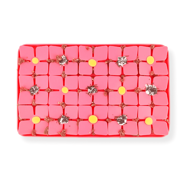 3D Clover Rectangle Slow Feeder - Slow Feeding Bowls from Sale at DoggyTopia
