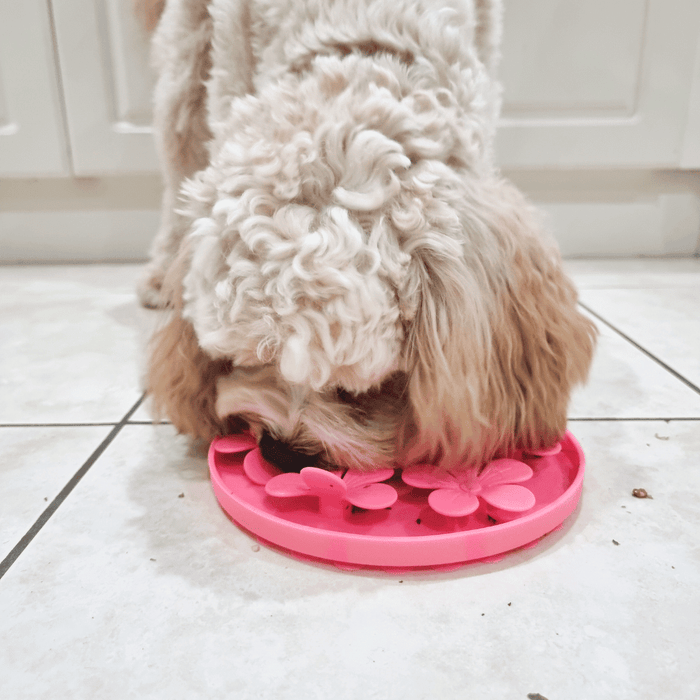 3D Flower Slow Feeder - Slow Feeding Bowls from . at DoggyTopia