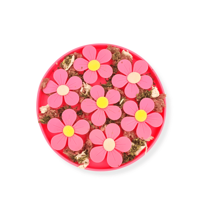 3D Flower Slow Feeder - Slow Feeding Bowls from . at DoggyTopia