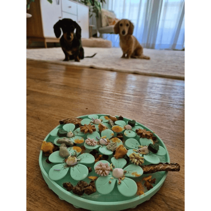3D Flower Slow Feeder - Slow Feeding Bowls from . at DoggyTopia