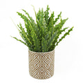 40cm Ceramic Geometric Planter And Artificial Fern Plants