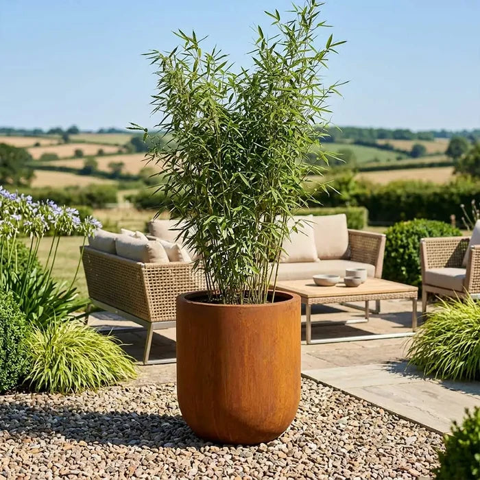 50cm Corten Steel Large Cylinder Planter with Rounded Base
