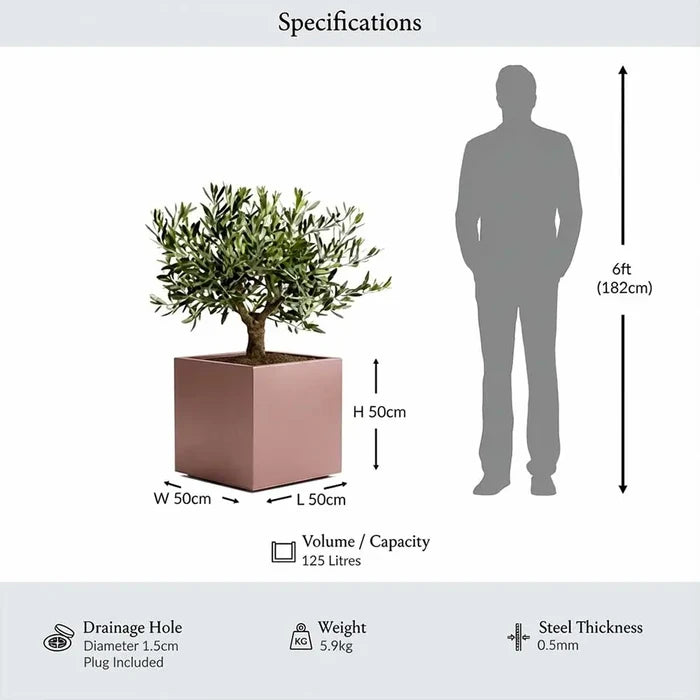 50cm Zinc Galvanised Brushed Rose Gold Finish Square Planter