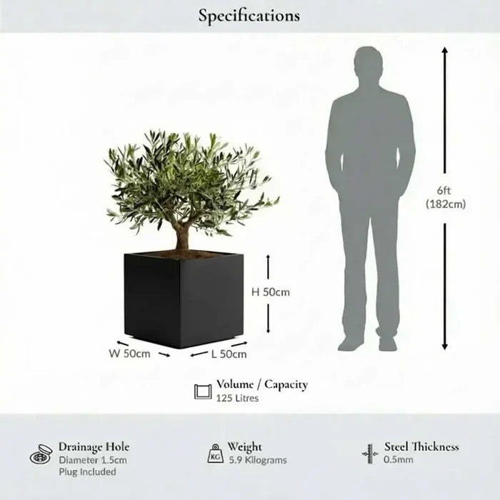 50cm Zinc Galvanised Polished Black Square Planter
