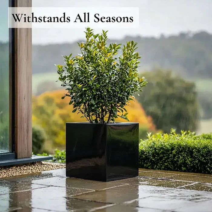 50cm Zinc Galvanised Polished Black Square Planter