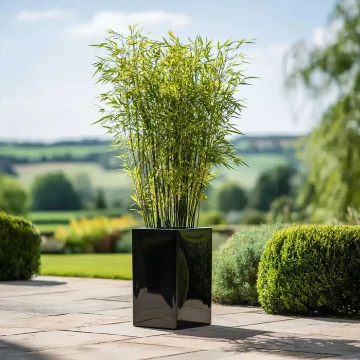 50cm Zinc Galvanised Polished Black Tall Square Planter