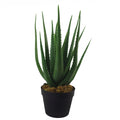 55cm Artificial Realistic Aloe Vera Succulent Plant