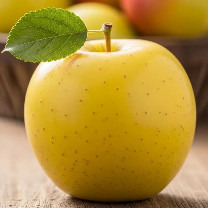 5ft 'Golden Delicious' Dwarfing Apple Tree | Bare Root | 2 Years Old