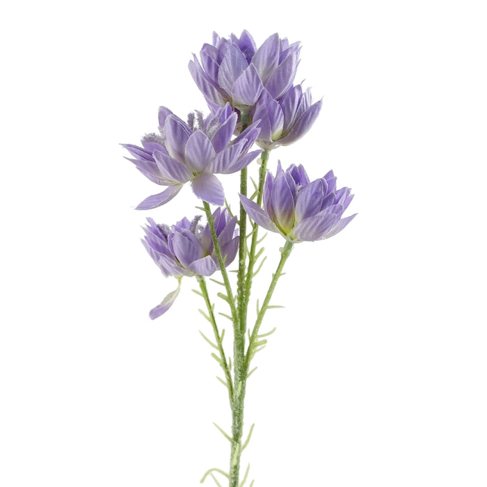 60cm Purple Starflower Stem - 5 Flowers