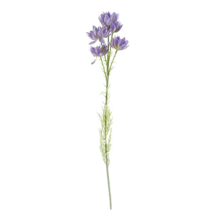 60cm Purple Starflower Stem - 5 Flowers