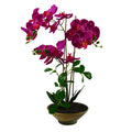 65cm Artificial Orchid Dark Pink in Glazed Planter