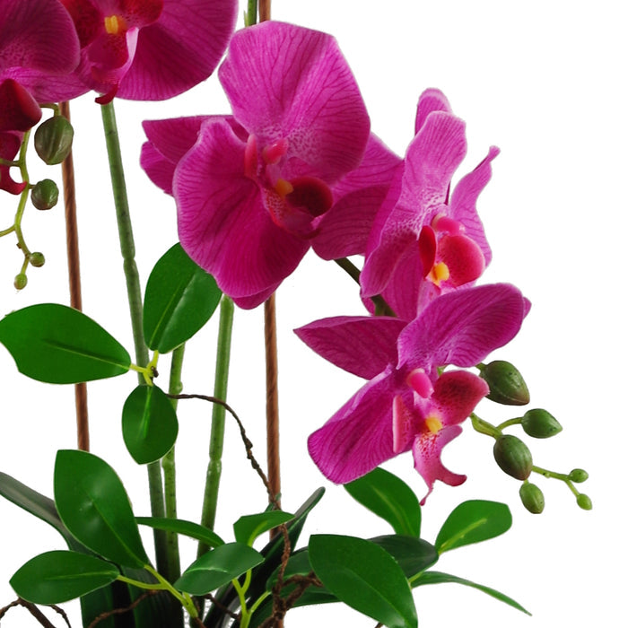 65cm Artificial Orchid Dark Pink in Glazed Planter