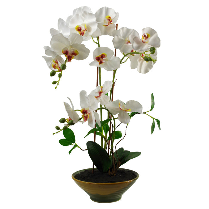 65cm Artificial Orchid White in Glazed Planter