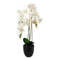 70cm Artificial Orchid White