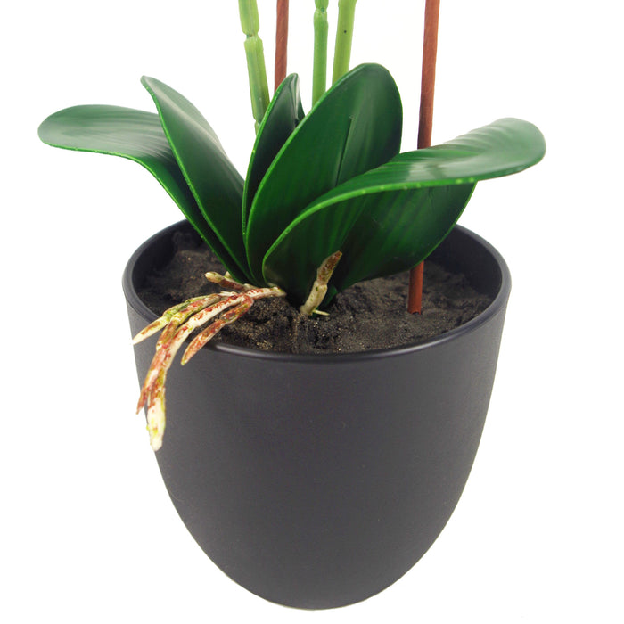 70cm Artificial Orchid White