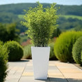 70cm Zinc Galvanised Matte White Tall Tapered Square Planter