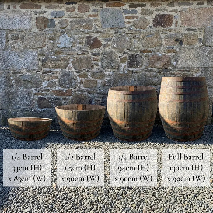 90cm Giant Scottish Whisky Half Barrel Oak Tree Planter