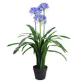 90cm Premium Artificial Agapanthus with pot BLUE