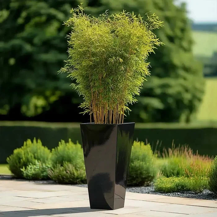 90cm Zinc Galvanised Polished Black Tall Tapered Planter