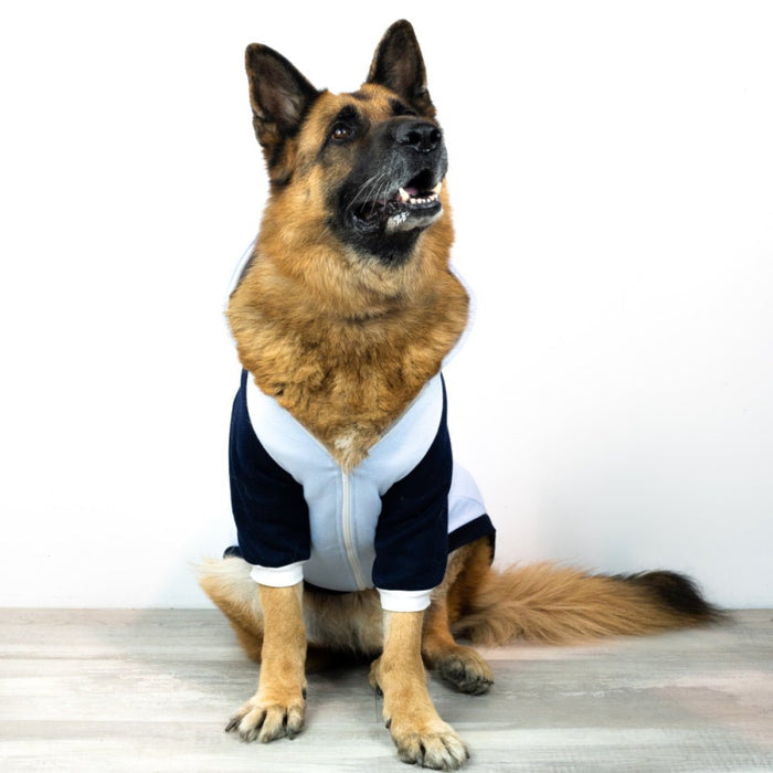 Active Zip Hoodie - Blue - Hoodies from Sale at DoggyTopia