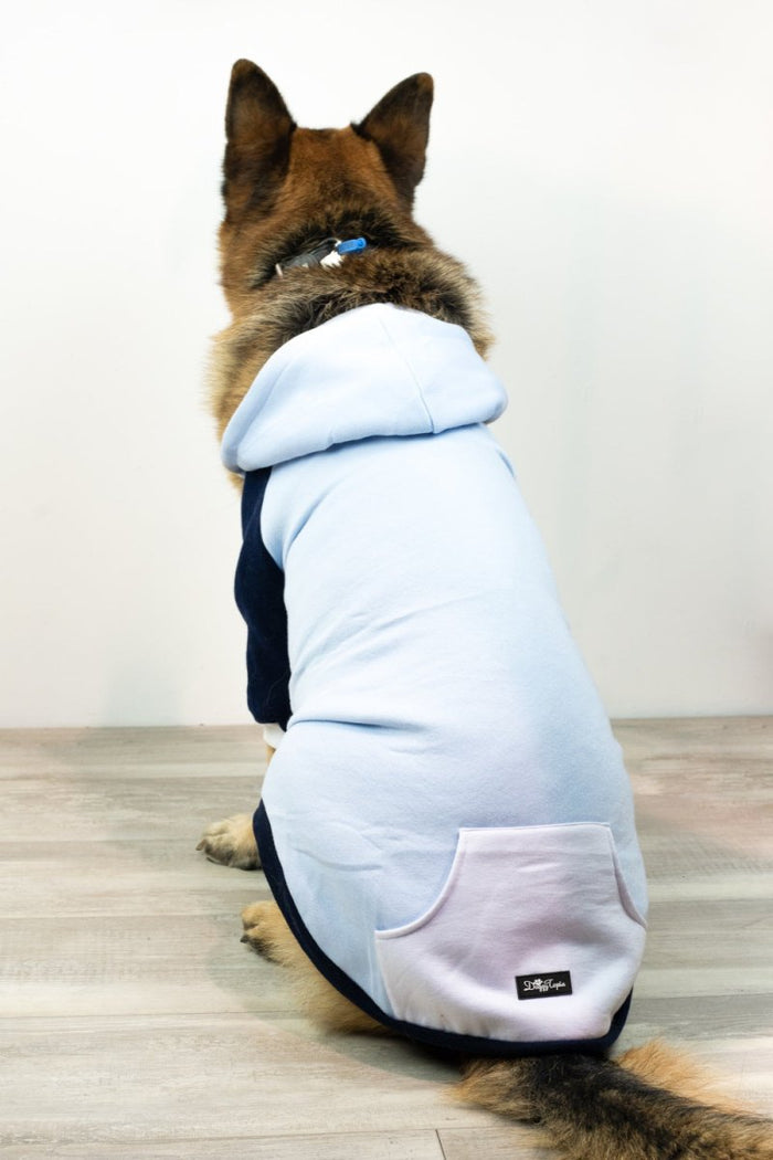 Active Zip Hoodie - Blue - Hoodies from Sale at DoggyTopia