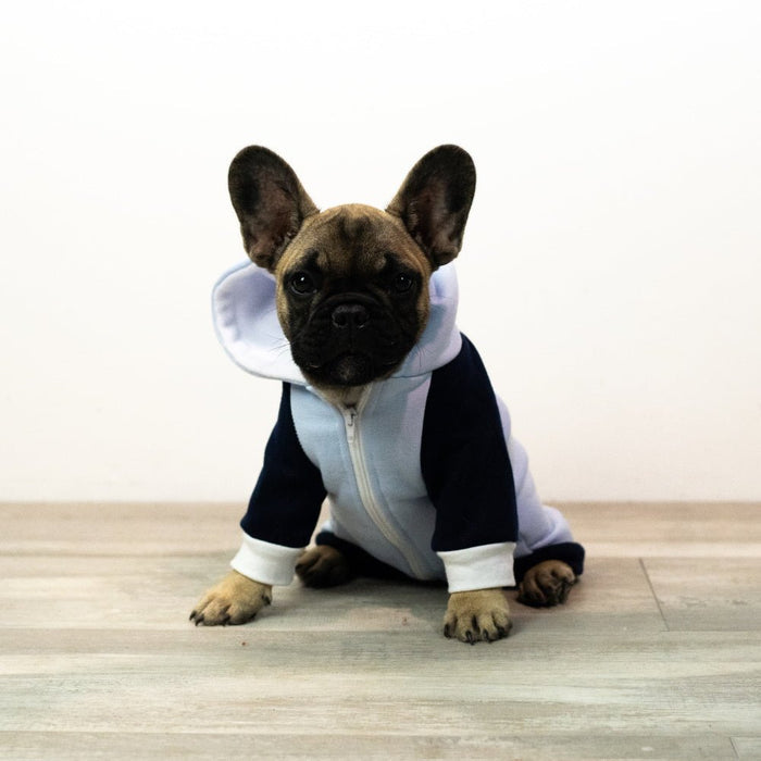 Active Zip Hoodie - Blue - Hoodies from Sale at DoggyTopia