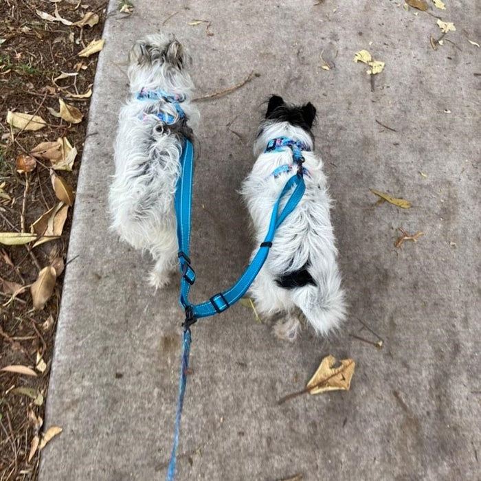 Adjustable Leash Splitter - Leash Splitters from . at DoggyTopia