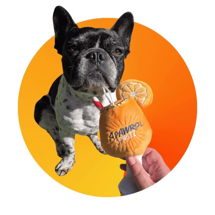Apawrol Spritz Dog Toy - Designer Toys from Haute Diggity Dog at DoggyTopia
