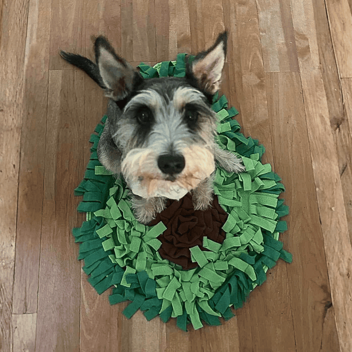Avocado Snuffle Mat