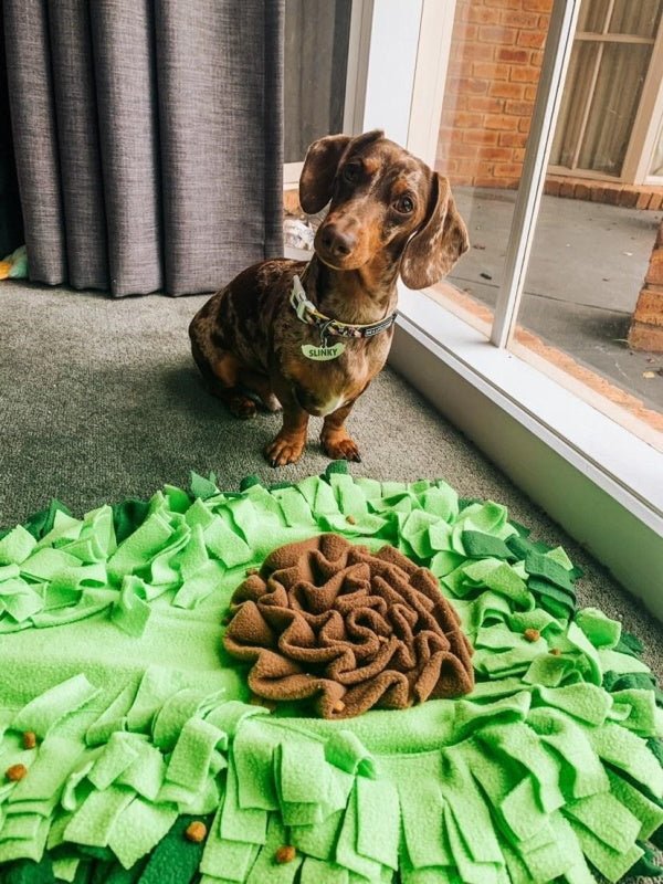 Avocado Snuffle Mat - Snuffle Mats from . at DoggyTopia