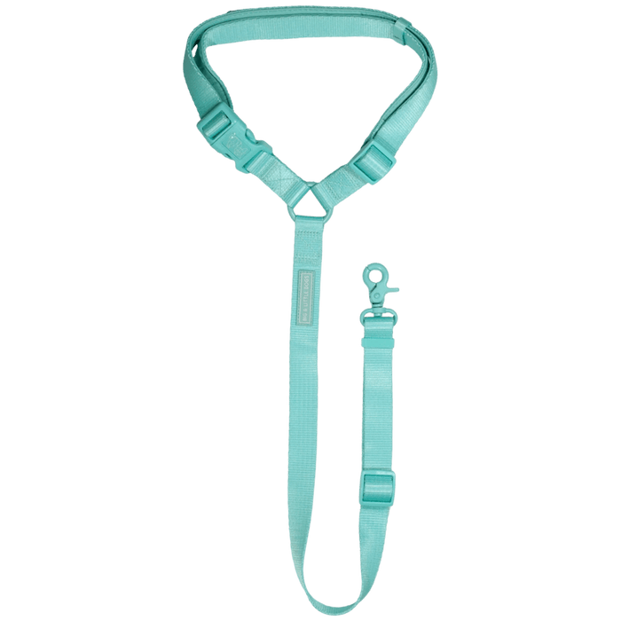 Big & Little Dog Premium Car Headrest Restraint - Aqua - Car Restraints from Big & Little Dogs at DoggyTopia