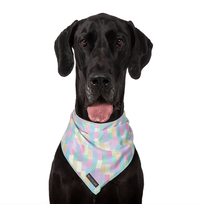 Big & Little Dogs Gelato Bandana - Bandanas from Big & Little Dogs at DoggyTopia