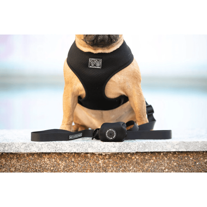 Big & Little Dogs Poop Bag Holder - Black - Poop Bag Holders from Big & Little Dogs at DoggyTopia