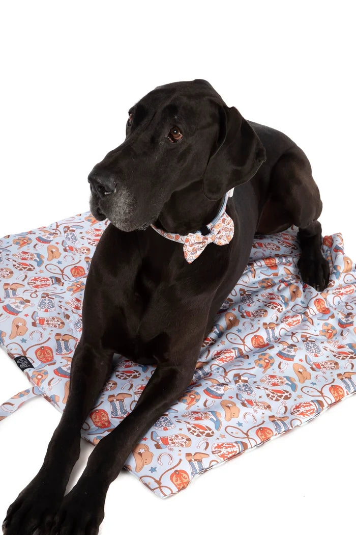 Big & Little Dogs Rodeo King On the Go Pet Mat