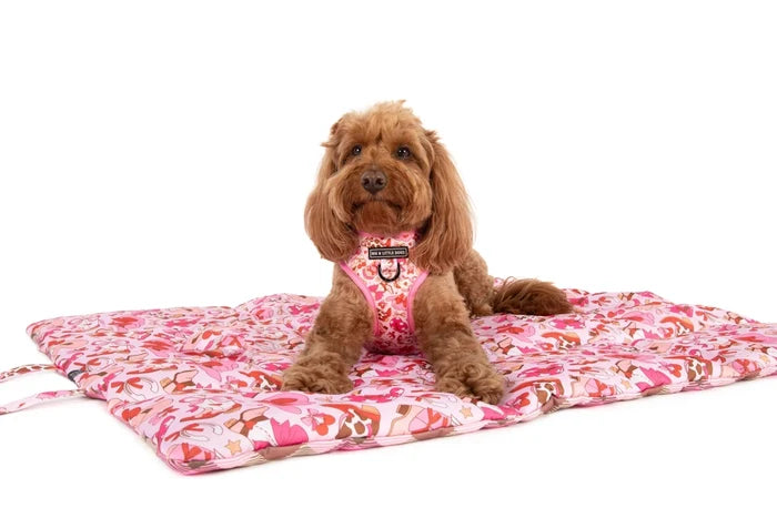 Big & Little Dogs Rodeo Queen On the Go Pet Mat