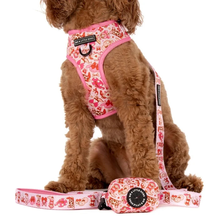 Big & Little Dogs Rodeo Queen Poop Bag Holder