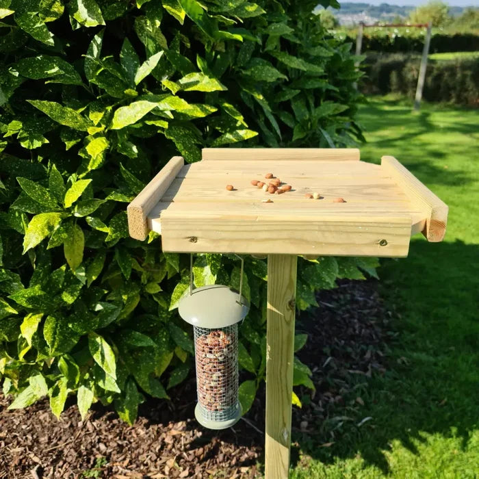 Bird Table - Pigeon Proof