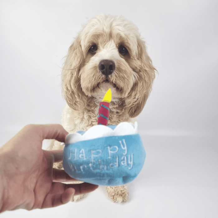 Birthday Cake Dog Toy - Blue - Designer Toys from . at DoggyTopia