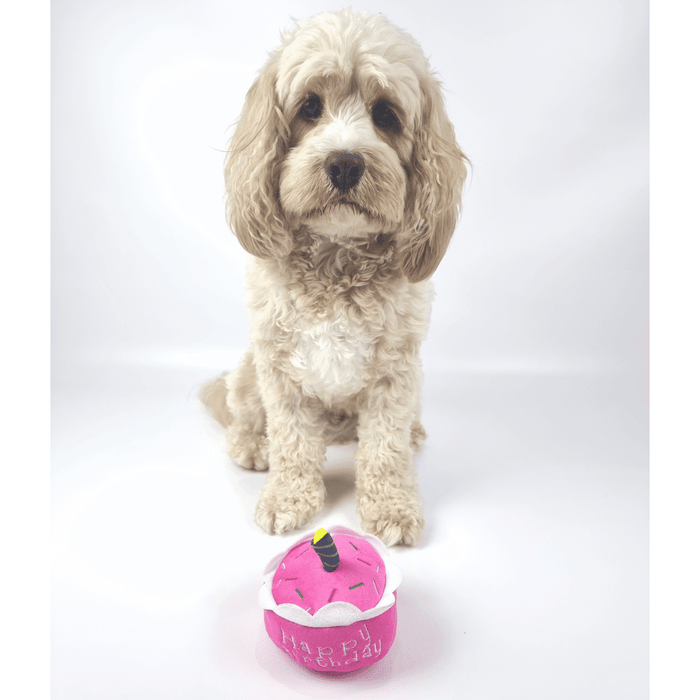 Birthday Cake Dog Toy - Pink - Designer Toys from . at DoggyTopia