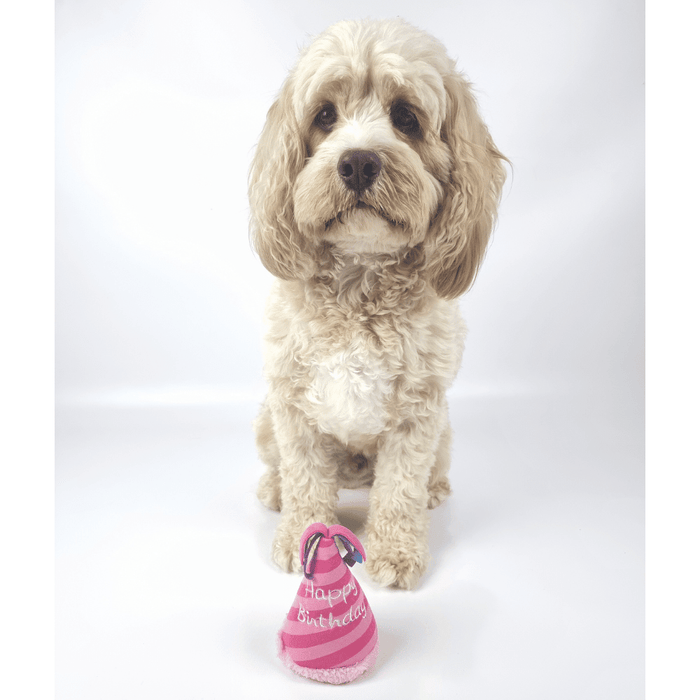 Birthday Party Hat Plush Dog Toy - Pink - Designer Toys from Haute Diggity Dog at DoggyTopia
