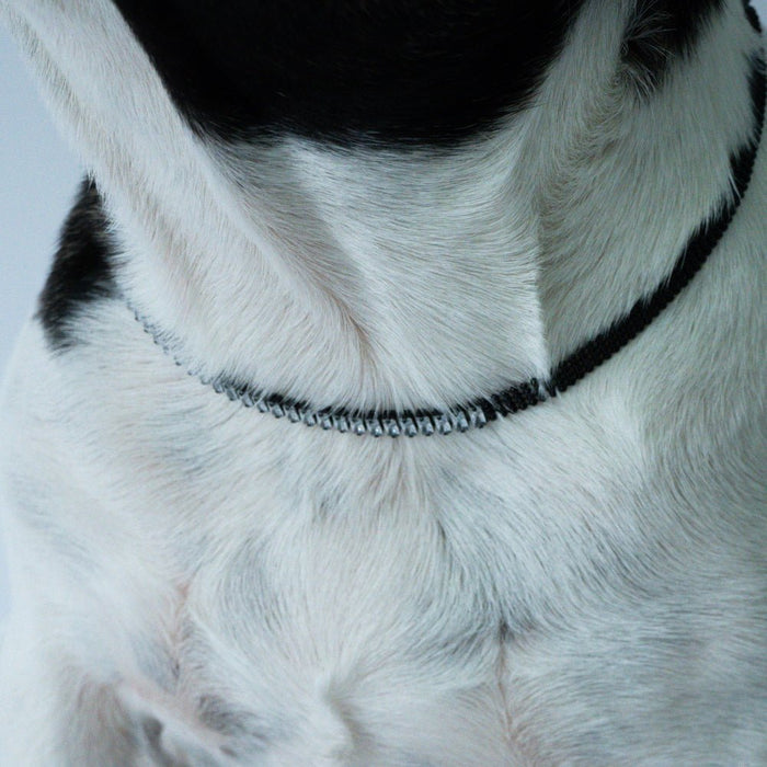 Black Diamante Dog Necklace - Dog Necklaces from Sale at DoggyTopia